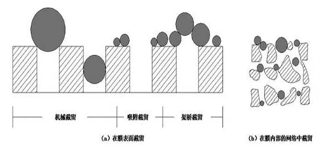 微滤膜处理技术